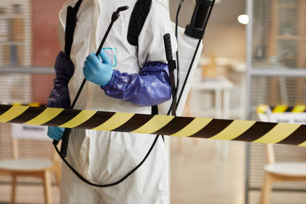 Professional Sewage Cleanup technician working in Seabrook, NH
